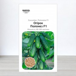 Насіння огірка партенокарпічний Полонез F1 (Польща), 100 насінин